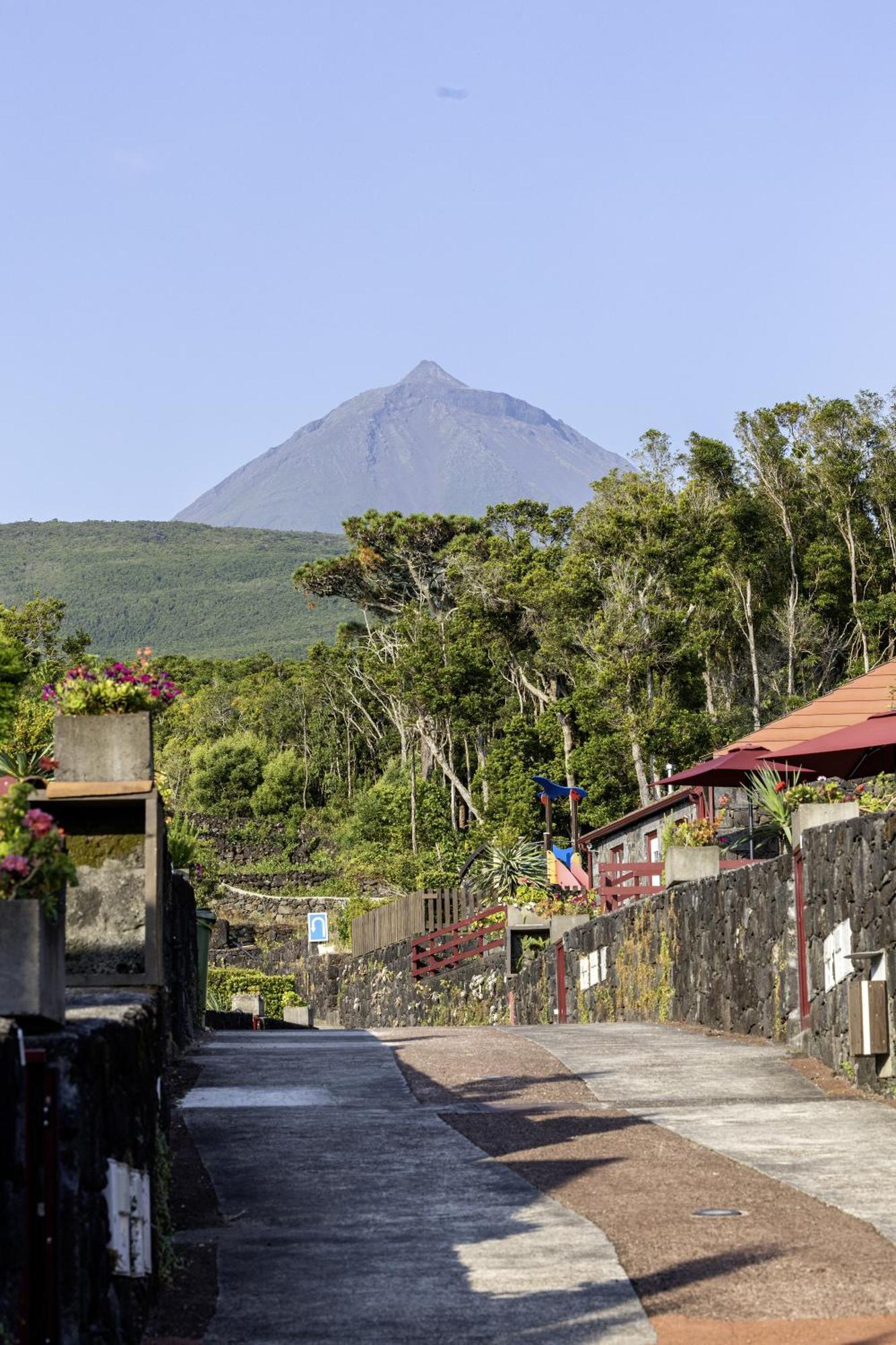 Aldeia Das Adegas São Roque do Pico Esterno foto